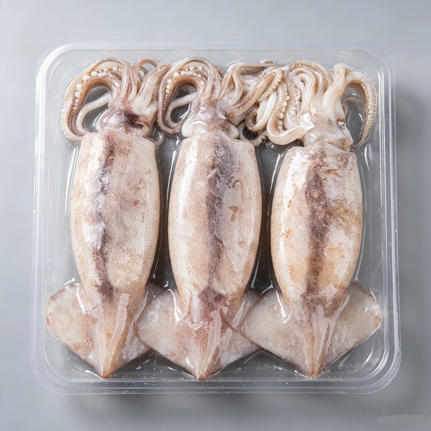 Frozen Whole Large Squid