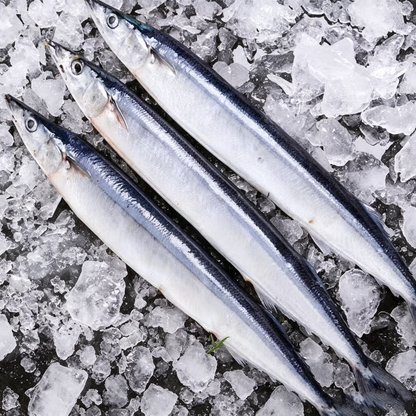 Individually Frozen Saury