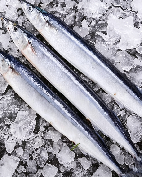 Individually Frozen Saury