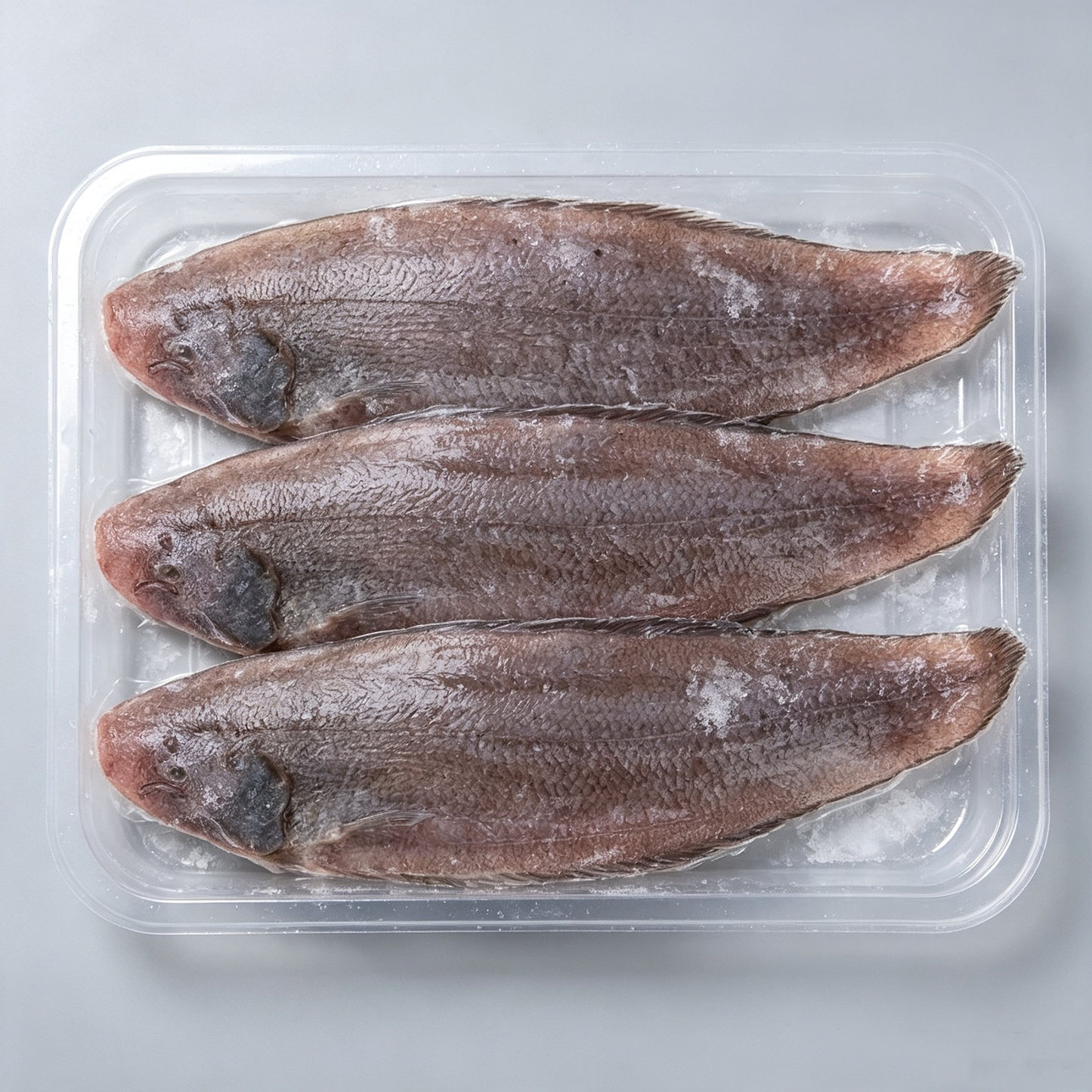 Frozen Large‑Size Sole Fish