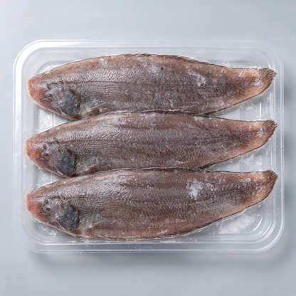 Frozen Large‑Size Sole Fish