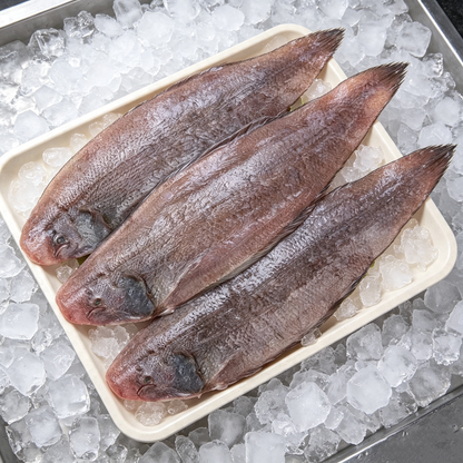 Frozen Large‑Size Sole Fish