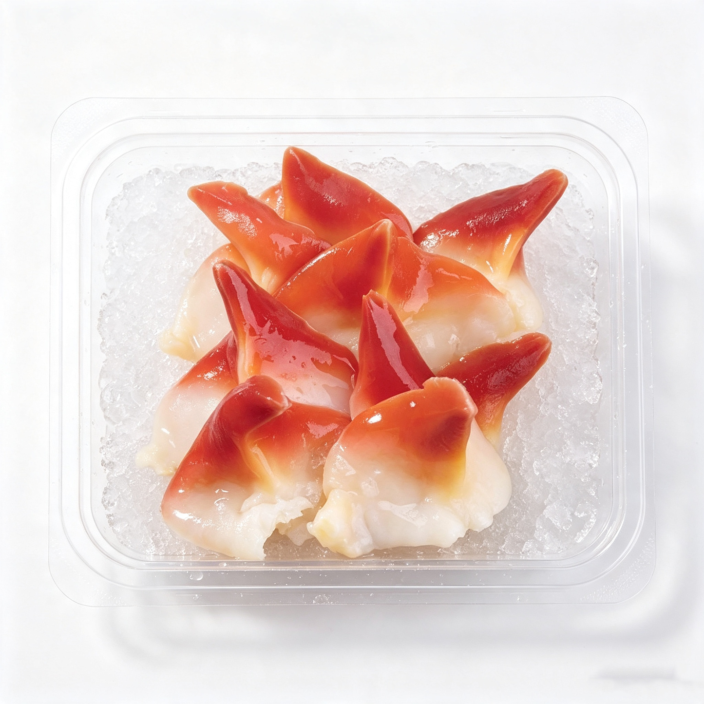 Raw Arctic Surf Clam Slices